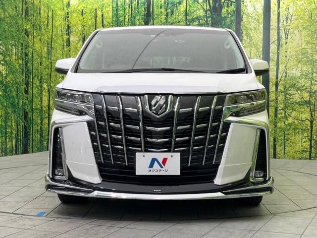 Toyota ALPHARD 2021-08 188518-14