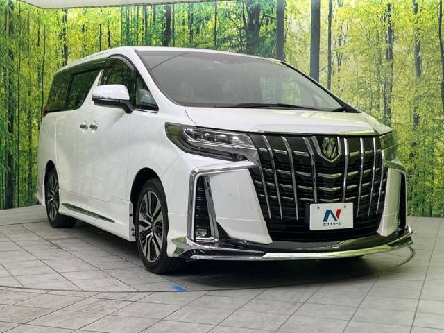 Toyota ALPHARD 2021-08 188518-16