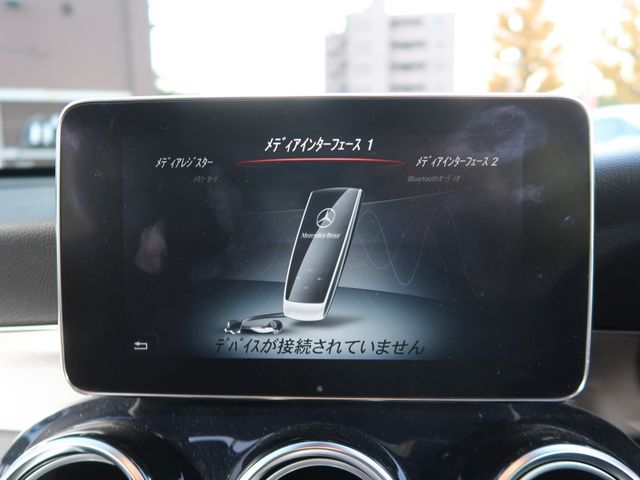 Mercedes Benz GLC-CLASS 2018-10 188579-27
