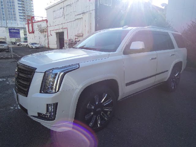 Cadillac ESCALADE 2019-10 187978-9