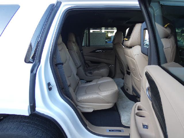 Cadillac ESCALADE 2019-10 187978-20