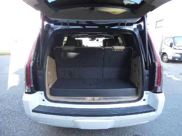 Cadillac ESCALADE 2019-10 187978-25