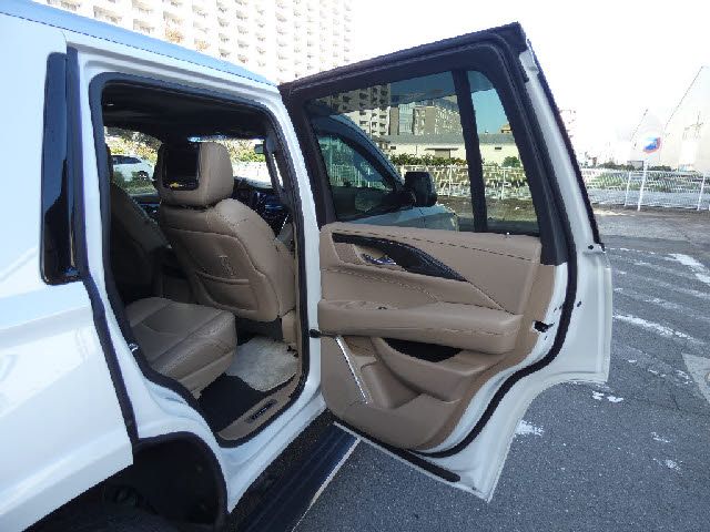 Cadillac ESCALADE 2019-10 187978-19