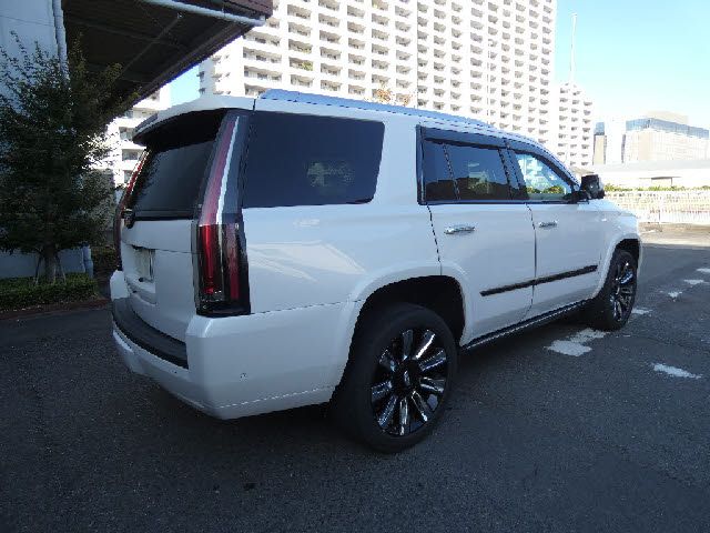 Cadillac ESCALADE 2019-10 187978-6