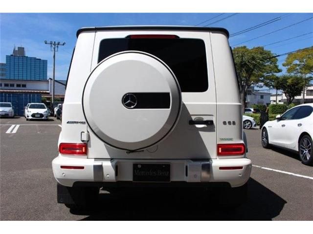 Amg G-CLASS 2020-11 17557-10