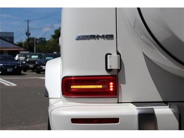 Amg G-CLASS 2020-11 17557-12