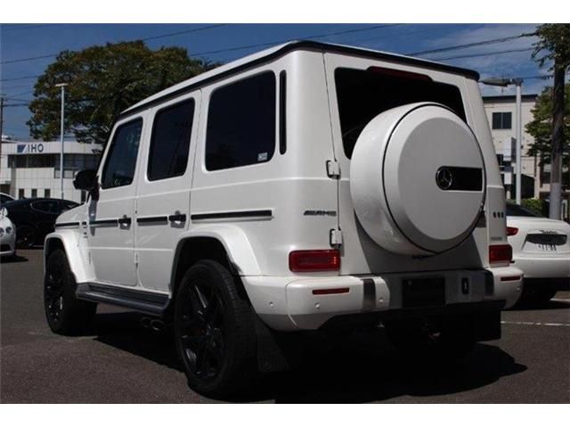 Amg G-CLASS 2020-11 17557-2