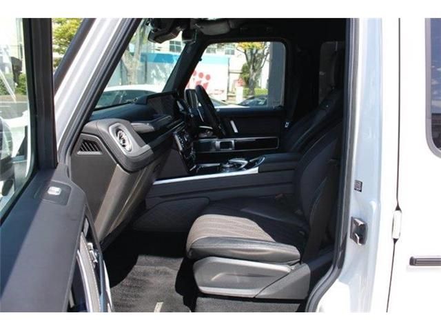 Amg G-CLASS 2020-11 17557-25