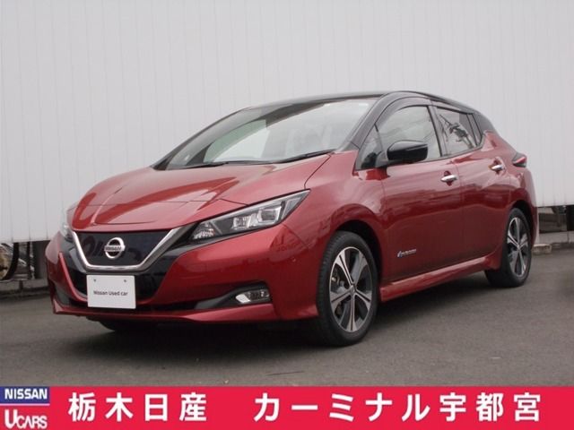 Nissan LEAF 2018-03 3185-0