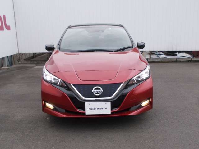 Nissan LEAF 2018-03 3185-15