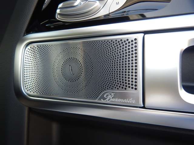 Mercedes Benz G-CLASS 2022-09 184926-17