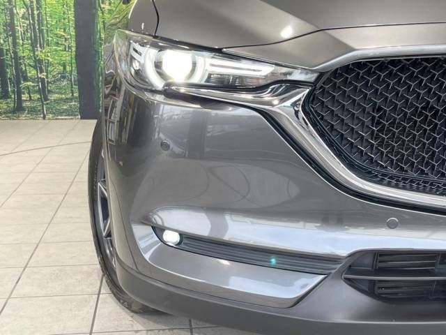 Mazda CX-5 2019-04 189616-12
