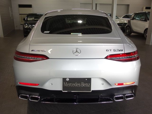 Amg GT 2019-07 185752-3