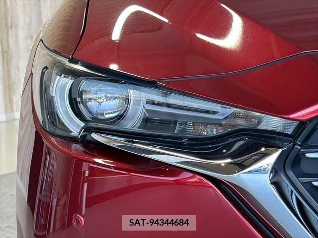 Mazda CX-8 2018-01 383809-9