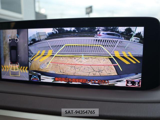 Lexus RX 2021-07 217859-14
