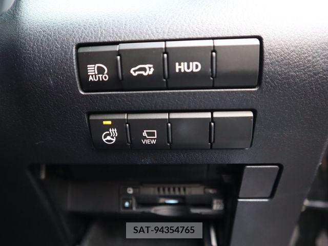 Lexus RX 2021-07 217859-19