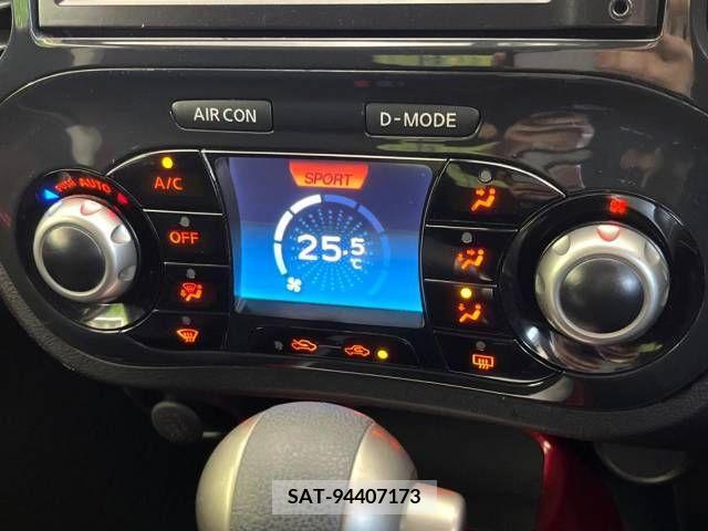 Nissan JUKE 2012-03 251578-5