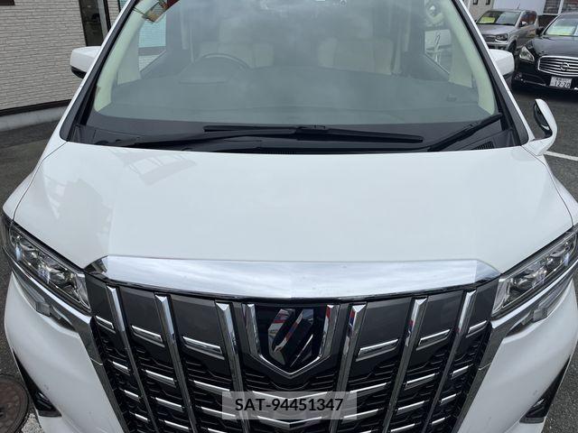 Toyota ALPHARD 2019-05 299484-10