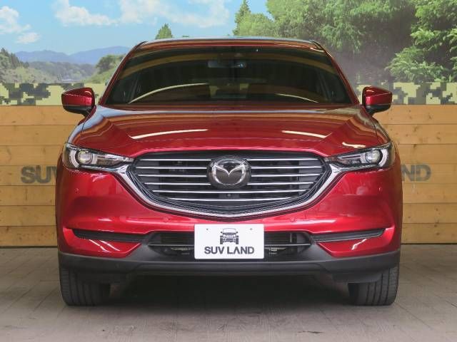 Mazda CX-8 2019-03 4321-17