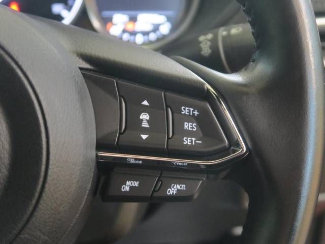 Mazda CX-8 2019-03 4321-7