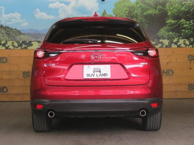 Mazda CX-8 2019-03 4321-18