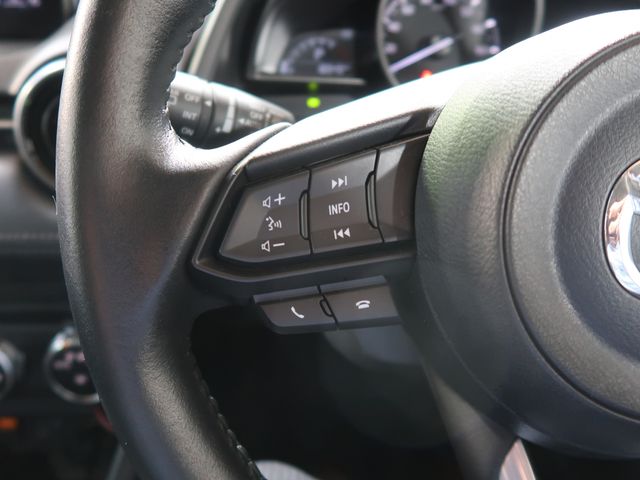 Mazda CX-3 2021-03 185211-28