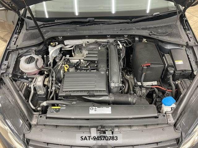 VolksWagen GOLF VARIANT 2017-06 224268-19