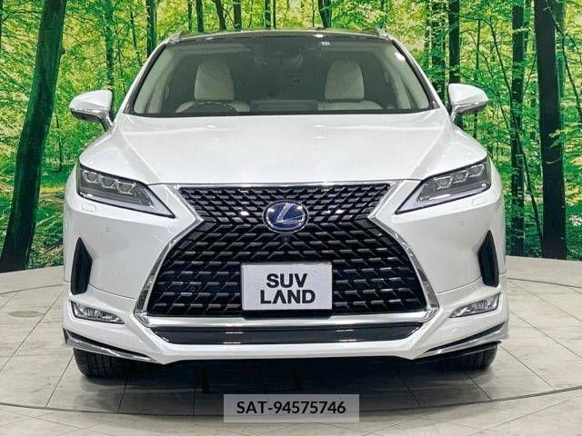 Lexus RX 2019-11 354003-14