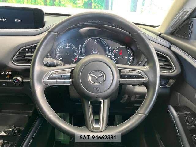 Mazda CX-30 2021-12 229123-11