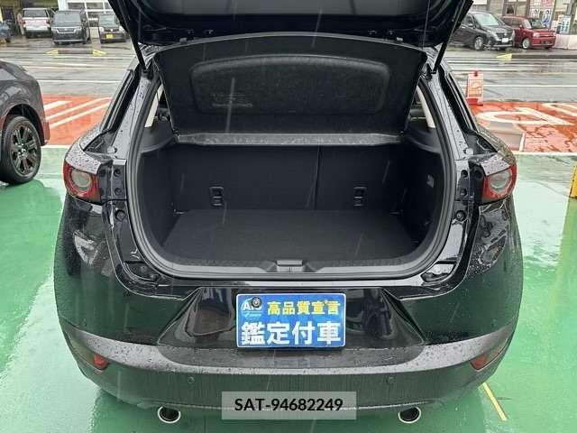 Mazda CX-3 2022-01 268101-13