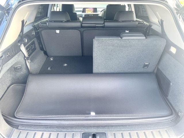 Lexus RX 2018-08 5727-7