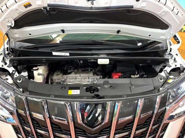 Toyota ALPHARD 2021-04 186841-19