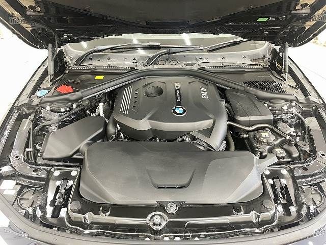 Bmw 4 SERIES 2016-08 23545-19