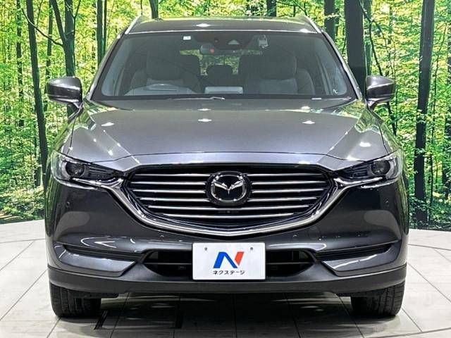 Mazda CX-8 2019-05 194976-15