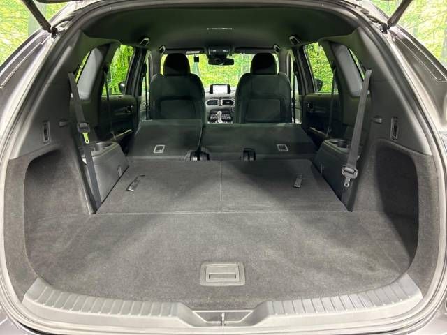 Mazda CX-8 2019-05 194976-11