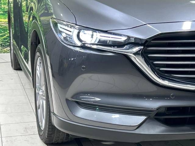 Mazda CX-8 2019-05 194976-13