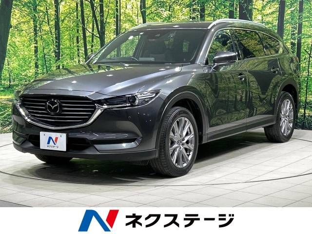 Mazda CX-8 2019-05 194976-0