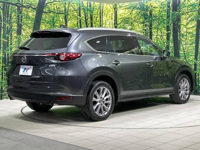 Mazda CX-8 2019-05 194976-18