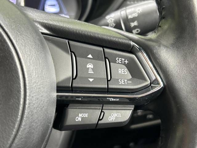 Mazda CX-8 2019-05 194976-6