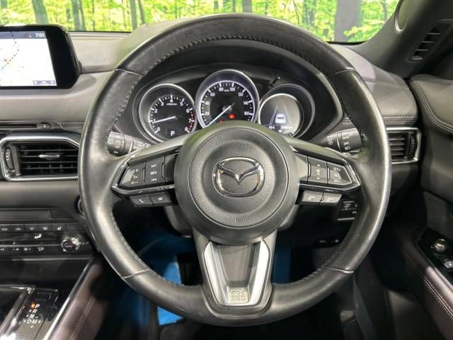 Mazda CX-8 2019-05 194976-12