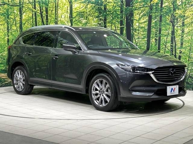 Mazda CX-8 2019-05 194976-17