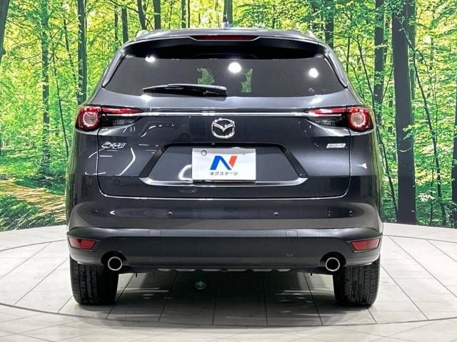 Mazda CX-8 2019-05 194976-16