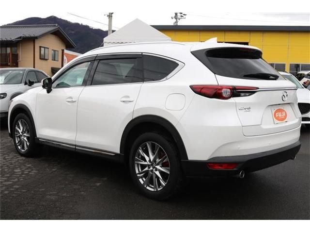 Mazda CX-8 2018-05 521-1