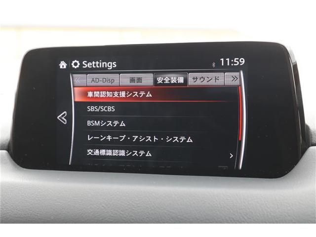 Mazda CX-8 2018-05 521-14