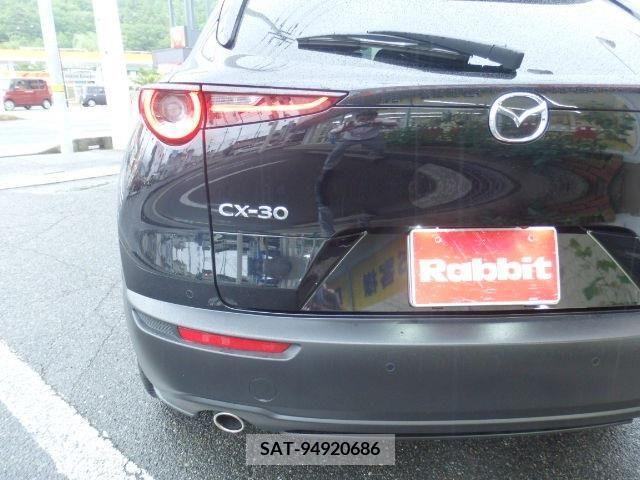 Mazda CX-30 2023-05 302099-12