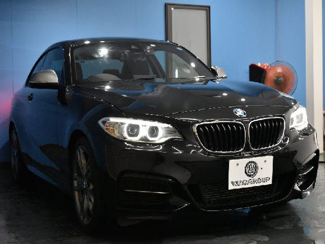 Bmw 2 SERIES 2015-09 20560-26