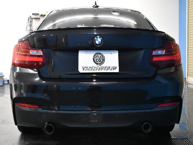 Bmw 2 SERIES 2015-09 20560-25