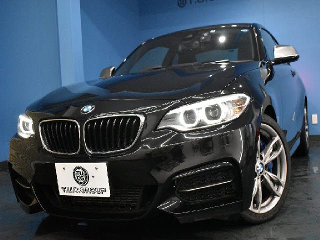 Bmw 2 SERIES 2015-09 20560-29