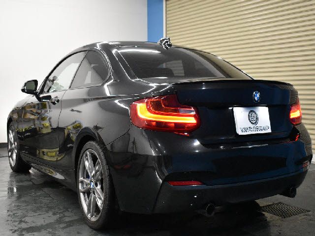 Bmw 2 SERIES 2015-09 20560-1