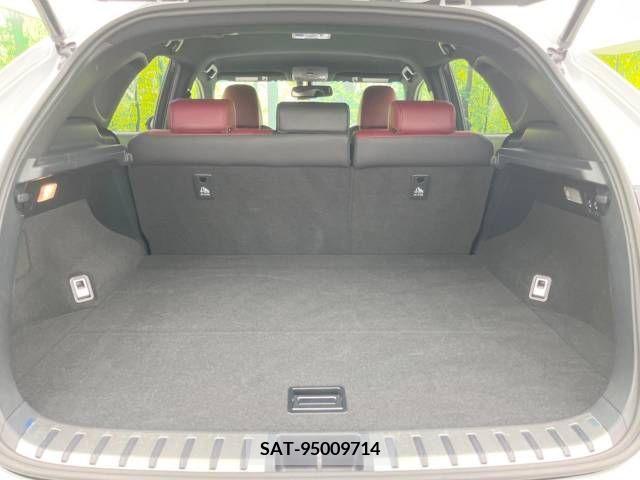 Lexus NX 2016-04 334363-10